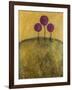 Tuscan Lollipops-Christy Ann-Framed Giclee Print