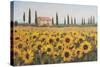 Tuscan Memories I-Sandra Iafrate-Stretched Canvas