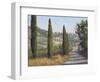 Tuscan Moment 1-Jill Schultz McGannon-Framed Art Print