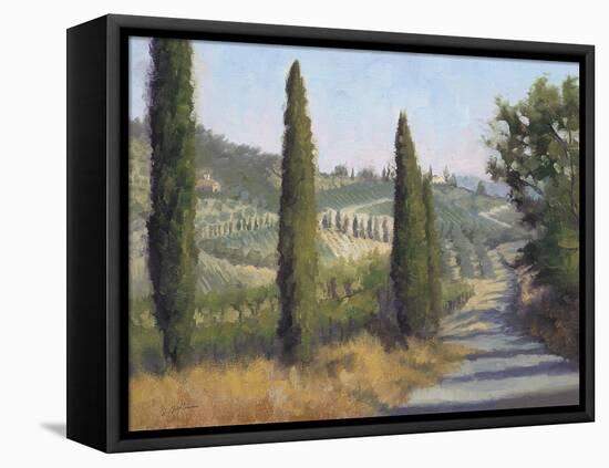 Tuscan Moment 1-Jill Schultz McGannon-Framed Stretched Canvas