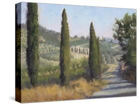 Tuscan Moment 1-Jill Schultz McGannon-Stretched Canvas