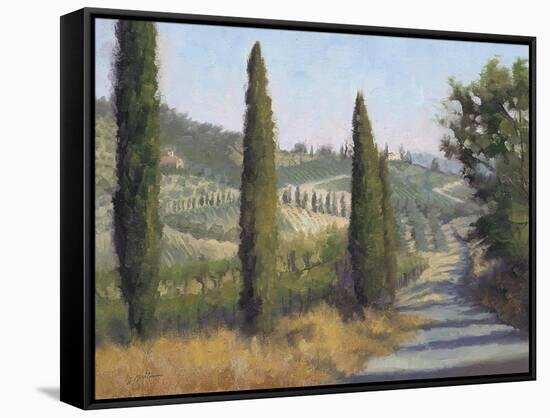 Tuscan Moment 1-Jill Schultz McGannon-Framed Stretched Canvas