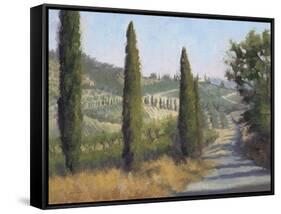 Tuscan Moment 1-Jill Schultz McGannon-Framed Stretched Canvas