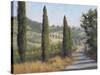 Tuscan Moment 1-Jill Schultz McGannon-Stretched Canvas