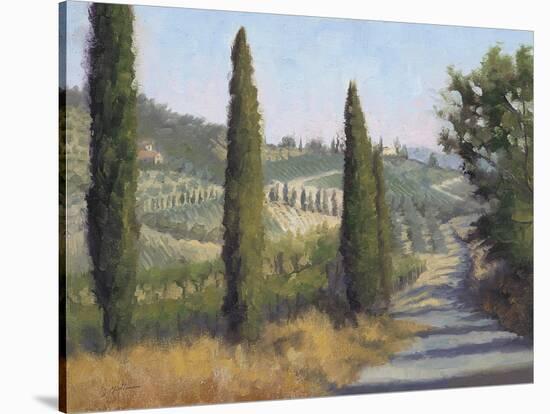 Tuscan Moment 1-Jill Schultz McGannon-Stretched Canvas