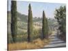 Tuscan Moment 1-Jill Schultz McGannon-Stretched Canvas