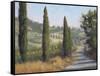 Tuscan Moment 1-Jill Schultz McGannon-Framed Stretched Canvas