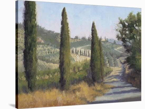 Tuscan Moment 1-Jill Schultz McGannon-Stretched Canvas