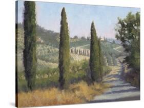 Tuscan Moment 1-Jill Schultz McGannon-Stretched Canvas