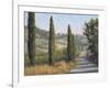 Tuscan Moment 1-Jill Schultz McGannon-Framed Art Print