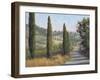 Tuscan Moment 1-Jill Schultz McGannon-Framed Art Print