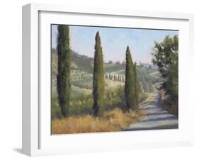 Tuscan Moment 1-Jill Schultz McGannon-Framed Art Print