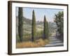 Tuscan Moment 1-Jill Schultz McGannon-Framed Art Print