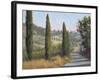 Tuscan Moment 1-Jill Schultz McGannon-Framed Art Print