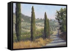 Tuscan Moment 1-Jill Schultz McGannon-Framed Stretched Canvas
