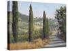 Tuscan Moment 1-Jill Schultz McGannon-Stretched Canvas