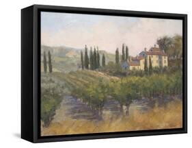 Tuscan Moment 2-Jill Schultz McGannon-Framed Stretched Canvas