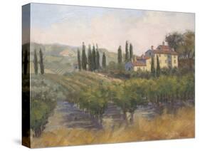 Tuscan Moment 2-Jill Schultz McGannon-Stretched Canvas