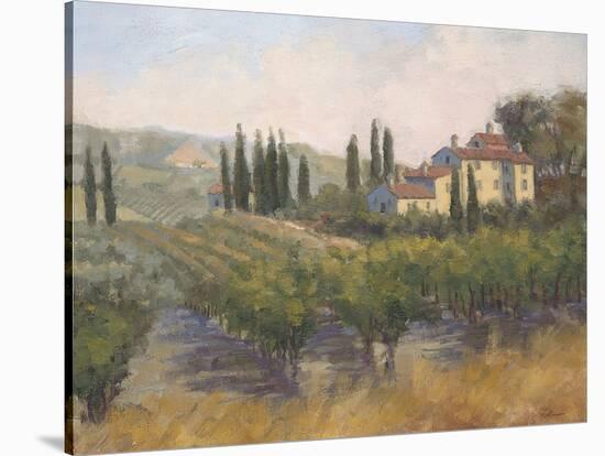 Tuscan Moment 2-Jill Schultz McGannon-Stretched Canvas