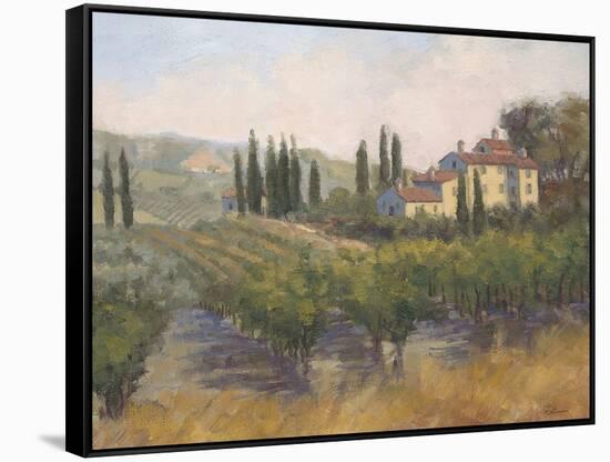 Tuscan Moment 2-Jill Schultz McGannon-Framed Stretched Canvas