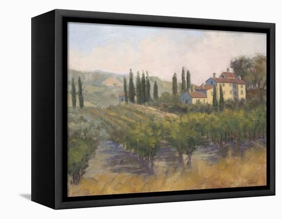 Tuscan Moment 2-Jill Schultz McGannon-Framed Stretched Canvas