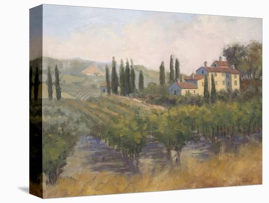 Tuscan Moment 2-Jill Schultz McGannon-Stretched Canvas