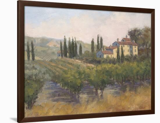 Tuscan Moment 2-Jill Schultz McGannon-Framed Art Print