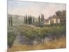 Tuscan Moment 2-Jill Schultz McGannon-Mounted Art Print