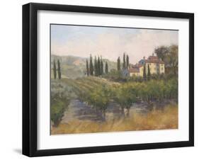 Tuscan Moment 2-Jill Schultz McGannon-Framed Art Print