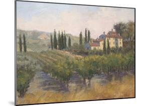 Tuscan Moment 2-Jill Schultz McGannon-Mounted Art Print