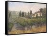 Tuscan Moment 2-Jill Schultz McGannon-Framed Stretched Canvas