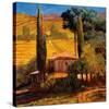 Tuscan Morning Light-Philip Craig-Stretched Canvas