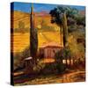 Tuscan Morning Light-Philip Craig-Stretched Canvas