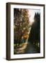 Tuscan morning-Giuseppe Torre-Framed Photographic Print