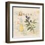 Tuscan Olive Oil-Angela Staehling-Framed Art Print