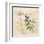 Tuscan Olive Oil-Angela Staehling-Framed Art Print