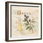 Tuscan Olive Oil-Angela Staehling-Framed Art Print