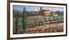 Tuscan Olives-Malcolm Surridge-Framed Giclee Print