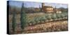 Tuscan Olives-Malcolm Surridge-Stretched Canvas