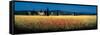 Tuscan Panorama, Poppies-David Short-Framed Stretched Canvas