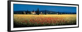 Tuscan Panorama, Poppies-David Short-Framed Premium Giclee Print