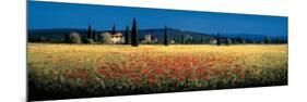 Tuscan Panorama, Poppies-David Short-Mounted Premium Giclee Print