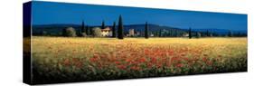Tuscan Panorama, Poppies-David Short-Stretched Canvas