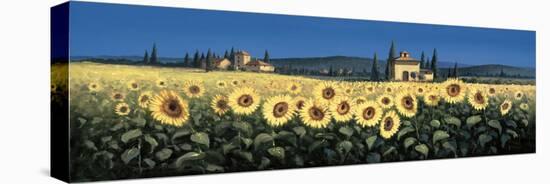 Tuscan Panorama, Sunflowers-David Short-Stretched Canvas