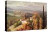 Tuscan Panorama-Vail Oxley-Stretched Canvas