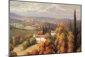 Tuscan Panorama-Vail Oxley-Mounted Art Print