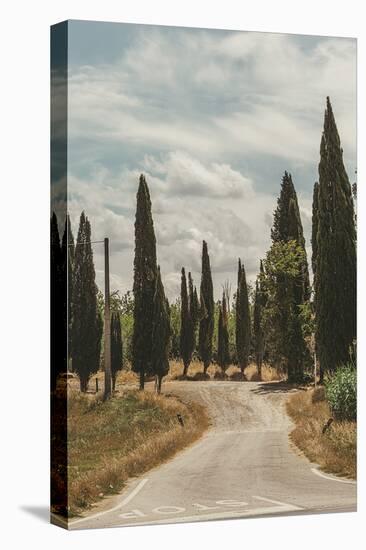 Tuscan Path-Florian Schleinig-Stretched Canvas