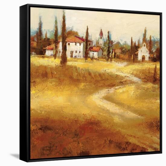 Tuscan Path-Paul Santiago-Framed Stretched Canvas