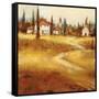 Tuscan Path-Paul Santiago-Framed Stretched Canvas