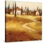 Tuscan Path-Paul Santiago-Stretched Canvas